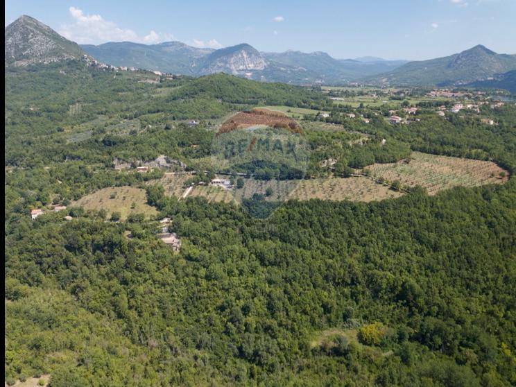 immagine annuncio 7 di 13