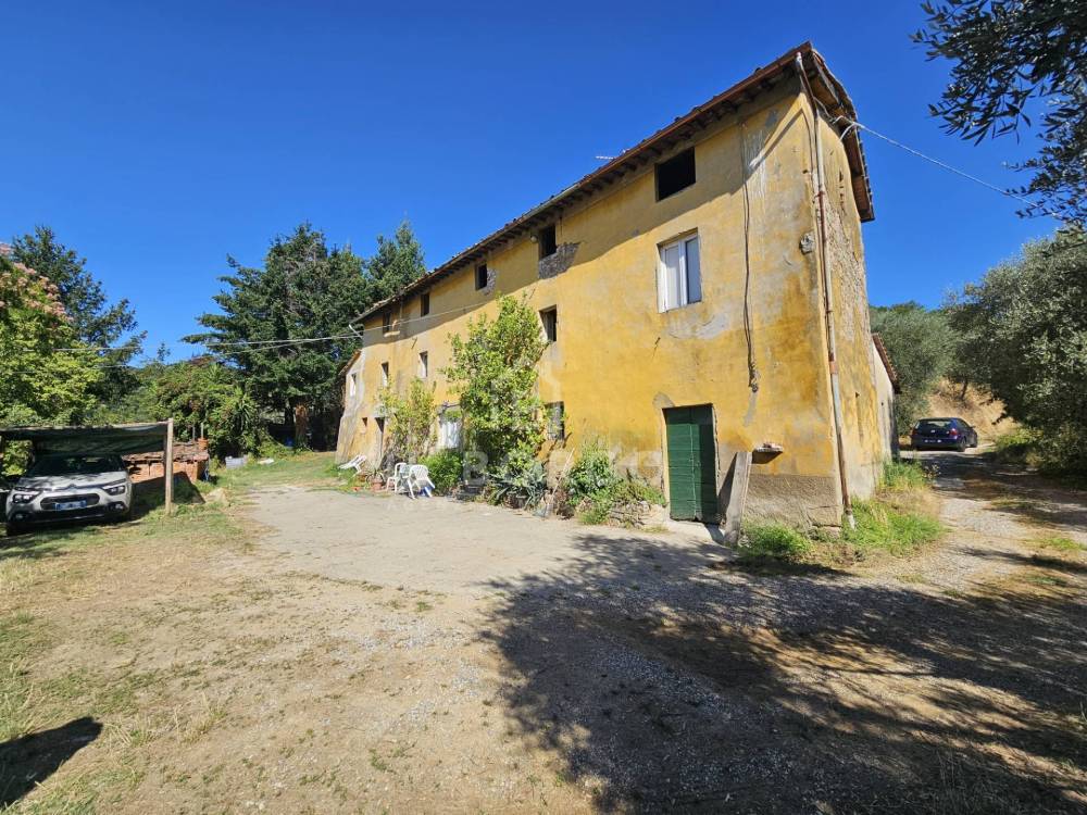 immagine annuncio 10 di 13