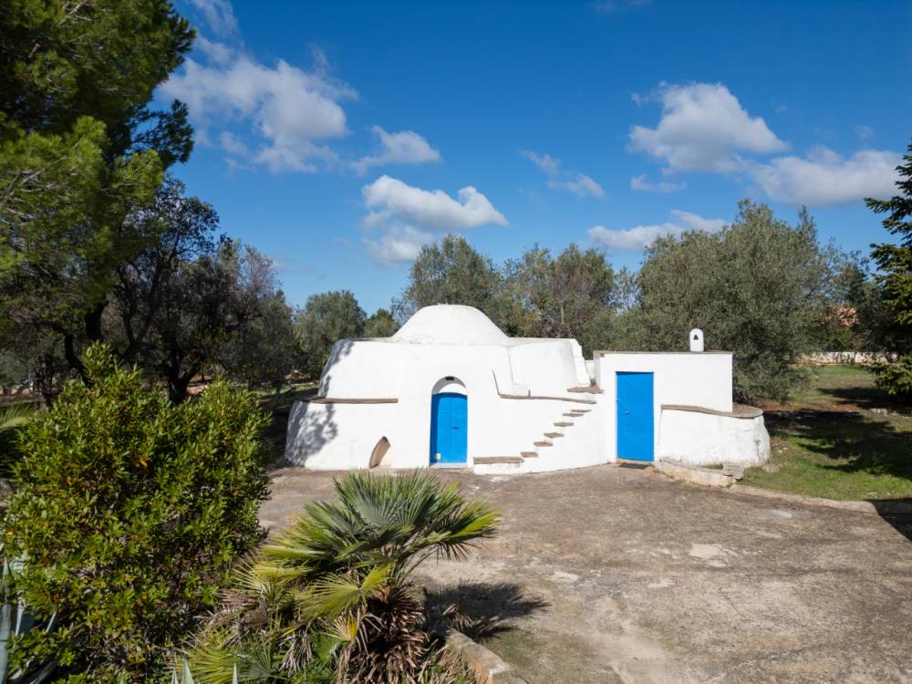 immagine annuncio 1 di 13