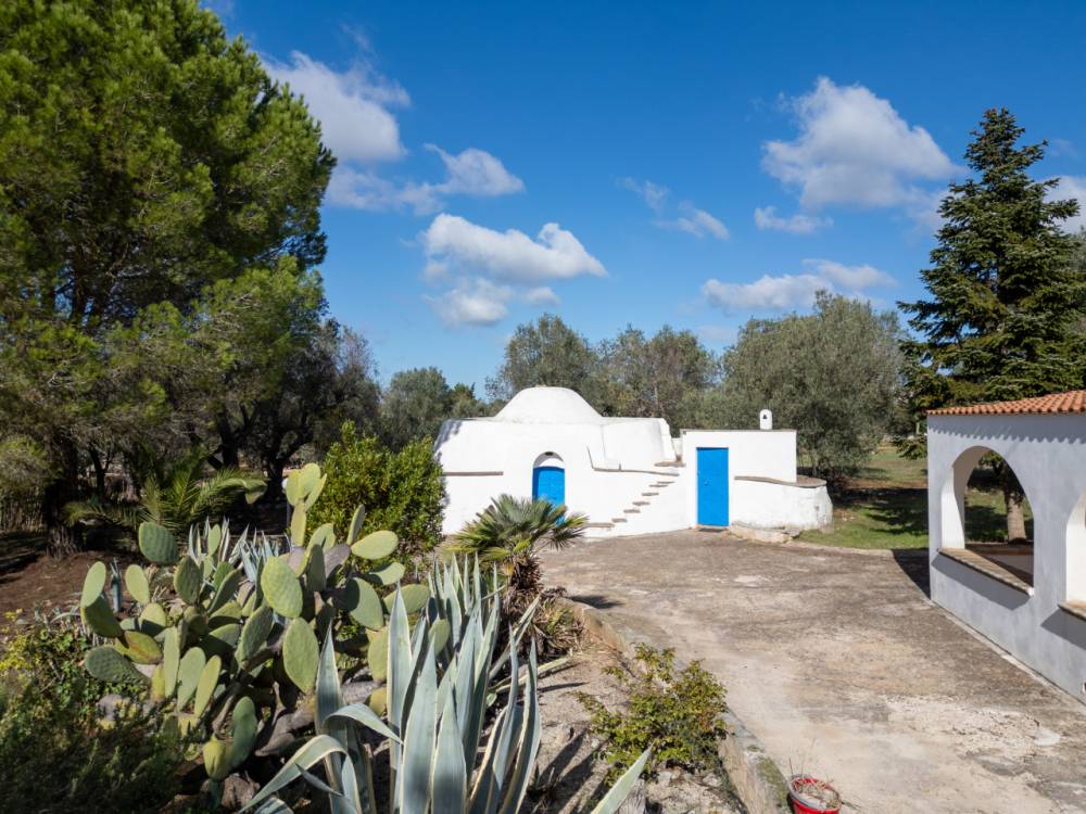 immagine annuncio 2 di 13