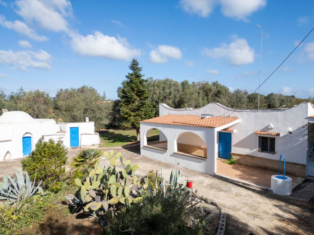 immagine annuncio 3 di 13