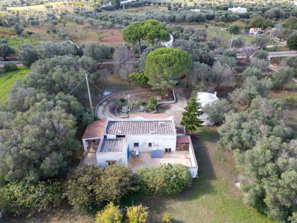 immagine annuncio 7 di 13