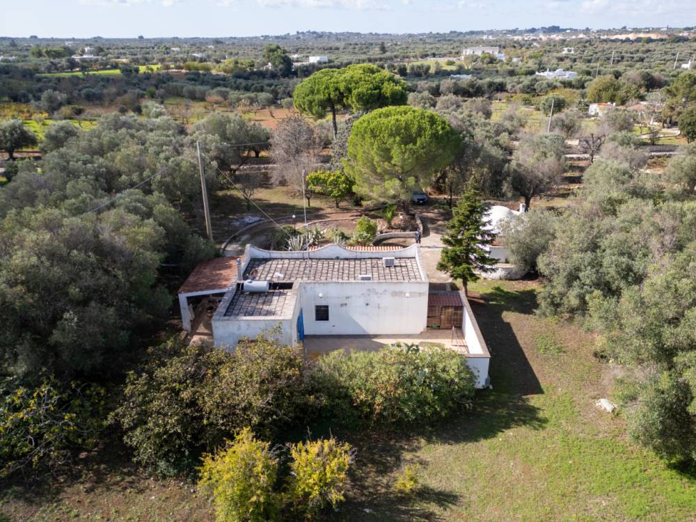 immagine annuncio 8 di 13