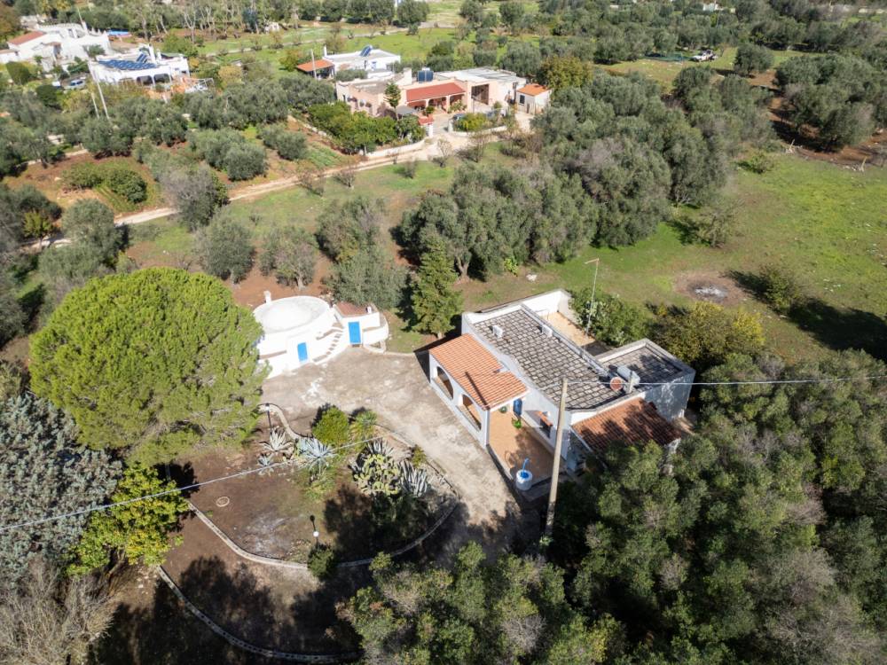 immagine annuncio 12 di 13