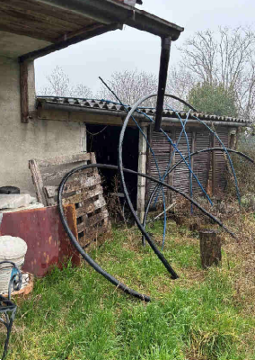 immagine annuncio 2 di 13