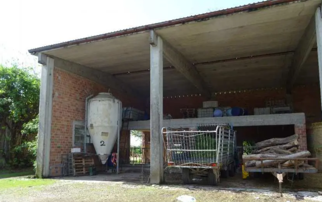 immagine annuncio 11 di 13