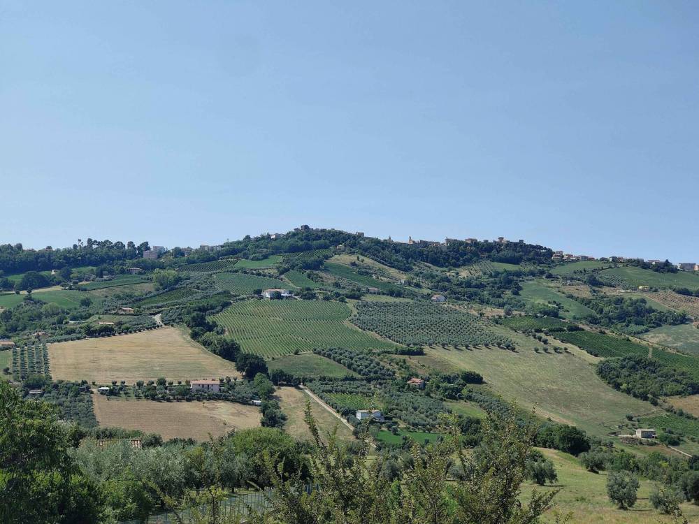immagine annuncio 4 di 13