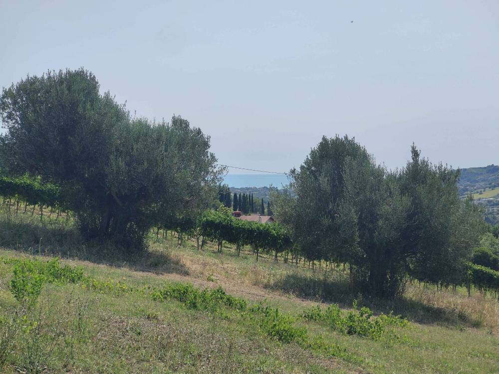 immagine annuncio 8 di 13
