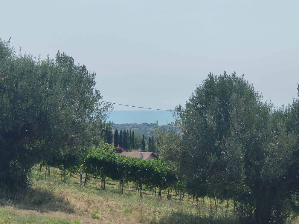 immagine annuncio 9 di 13