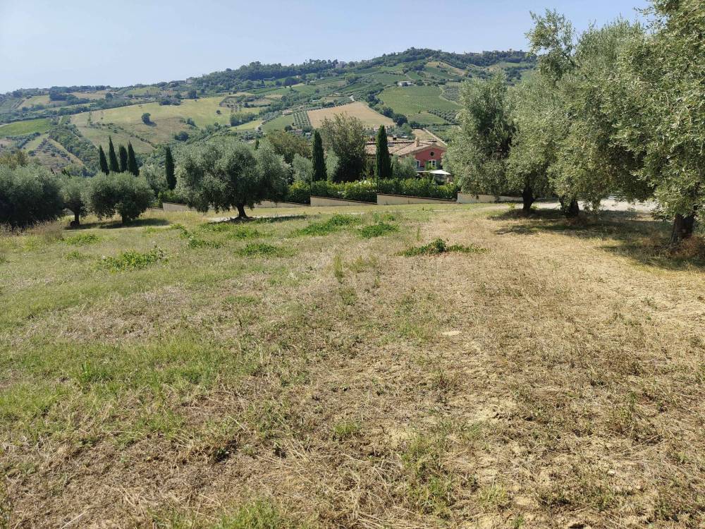 immagine annuncio 11 di 13