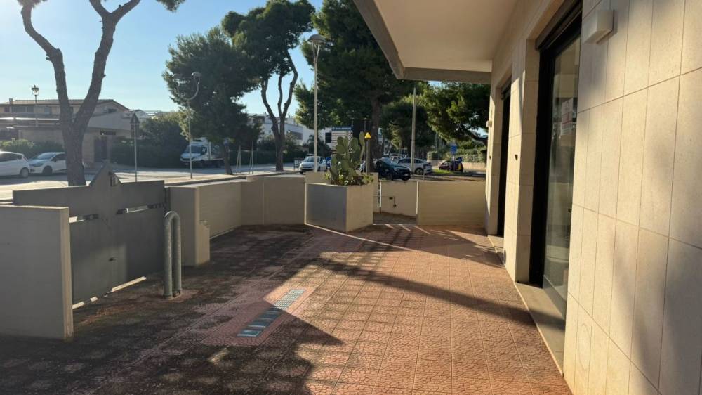 immagine annuncio 7 di 12