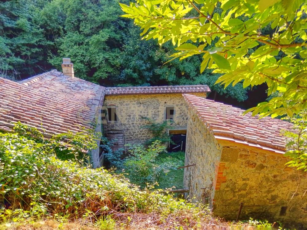 immagine annuncio 12 di 13