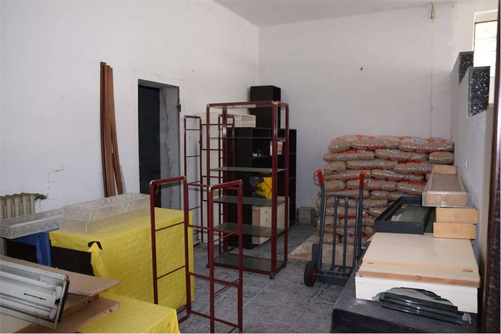 immagine annuncio 7 di 12