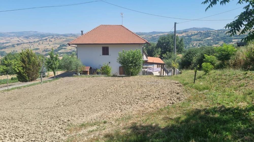immagine annuncio 1 di 4