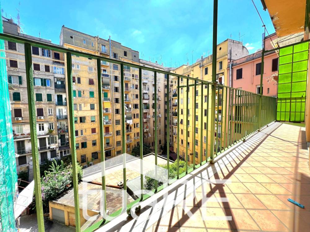 immagine annuncio 9 di 13