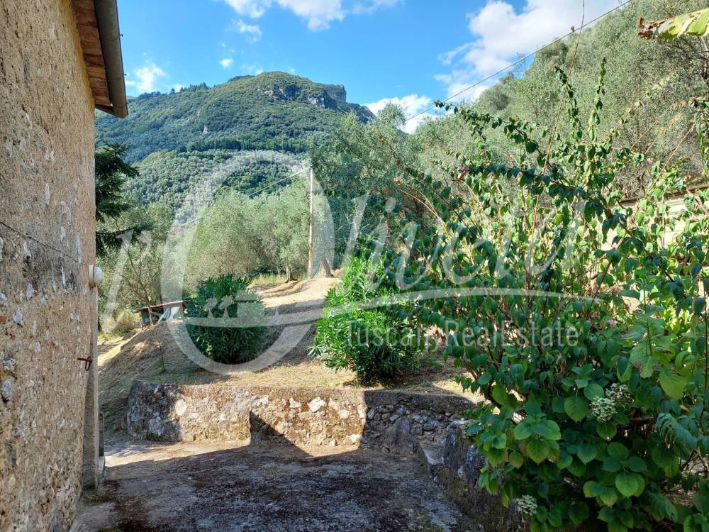 immagine annuncio 4 di 13