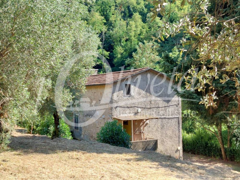 immagine annuncio 1 di 13