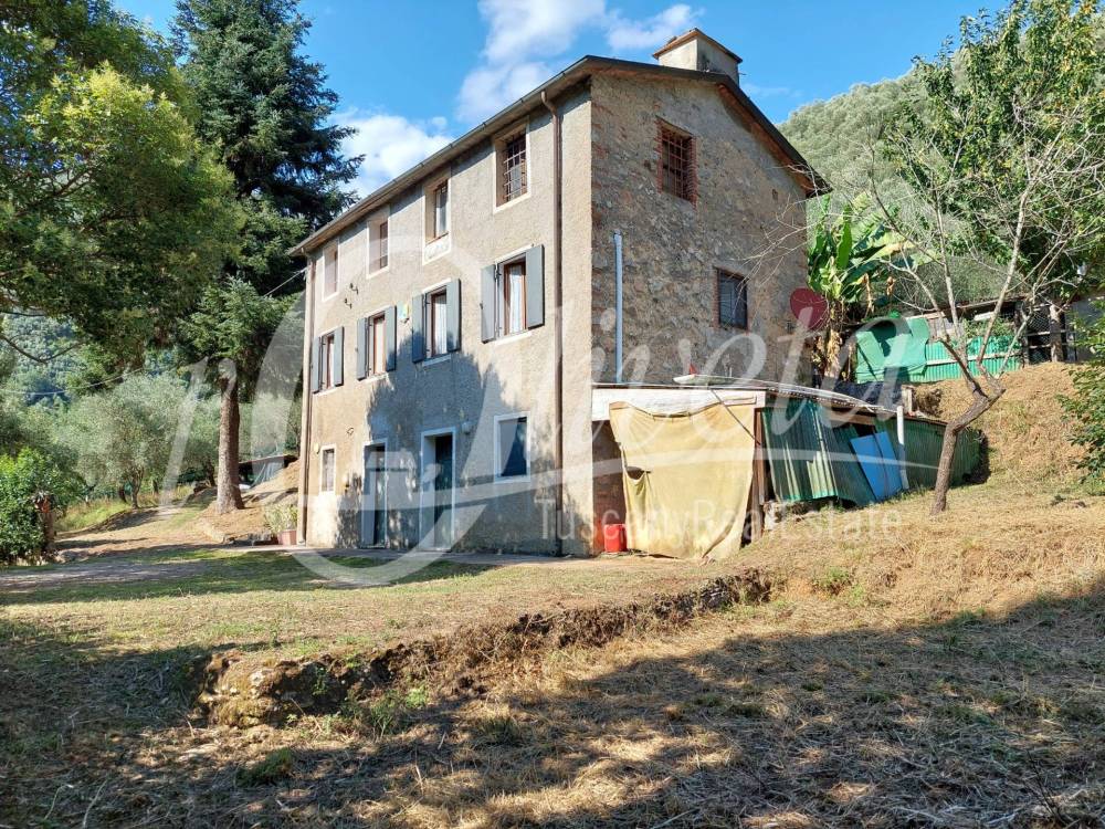 immagine annuncio 8 di 13