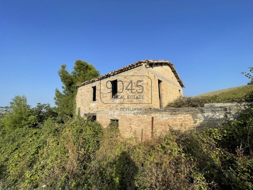 immagine annuncio 2 di 9