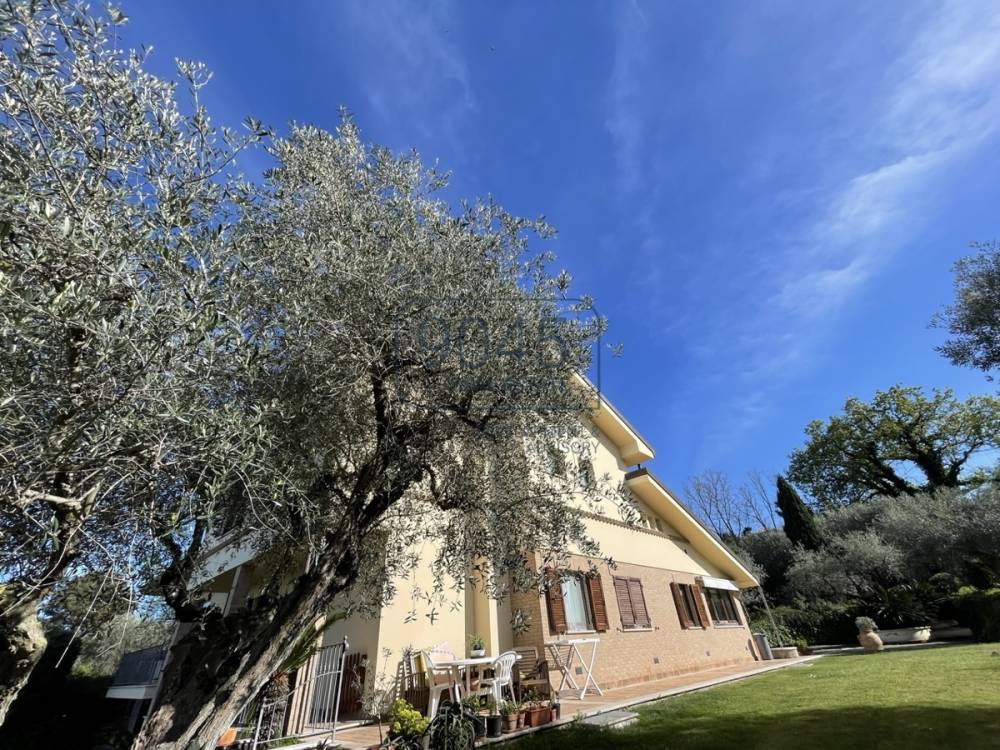 immagine annuncio 2 di 13