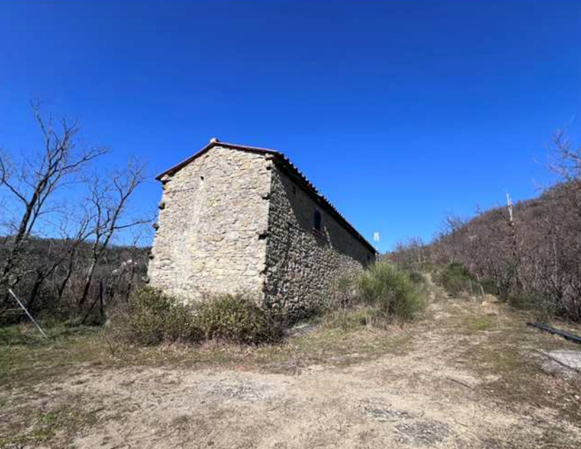 immagine annuncio 7 di 13