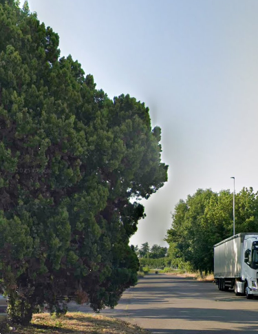 immagine annuncio 12 di 13