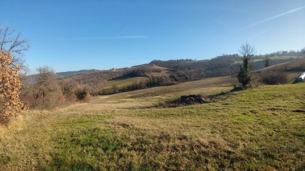 immagine annuncio 10 di 13