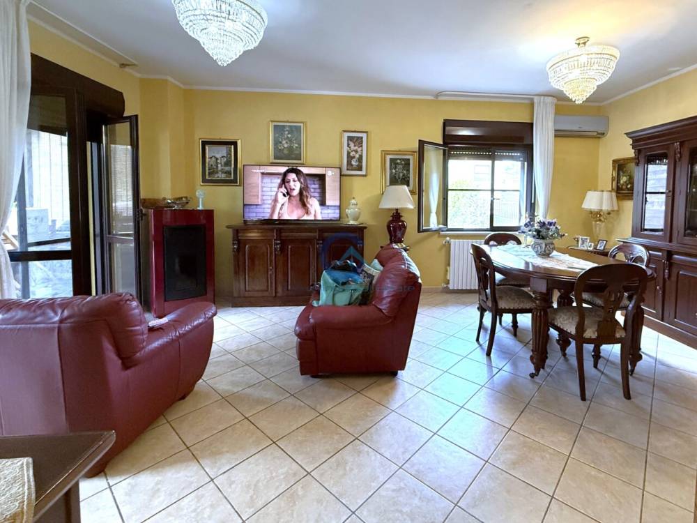 immagine annuncio 12 di 14