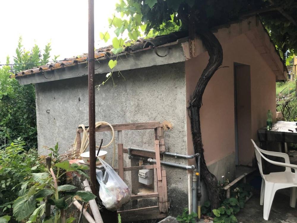 immagine annuncio 3 di 6