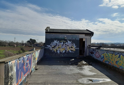 immagine annuncio 3 di 13