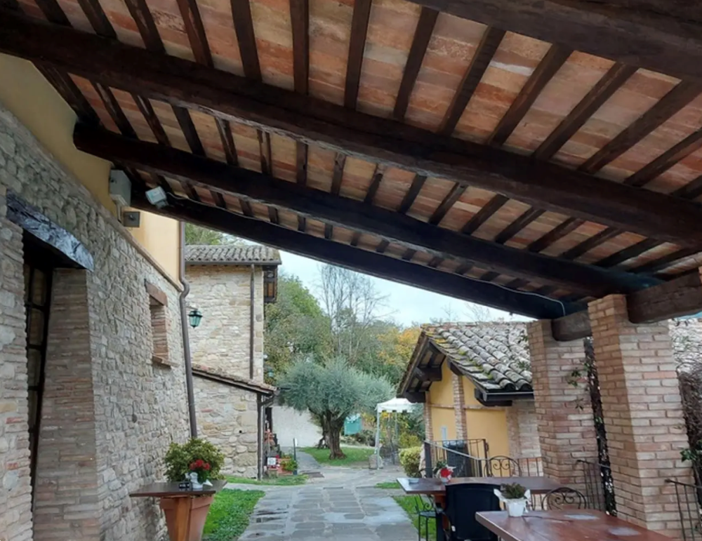 immagine annuncio 12 di 13