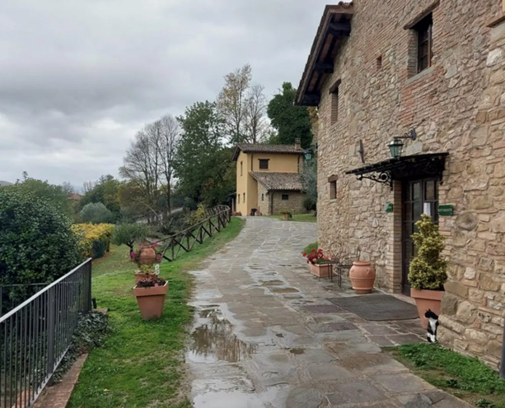 immagine annuncio 5 di 13