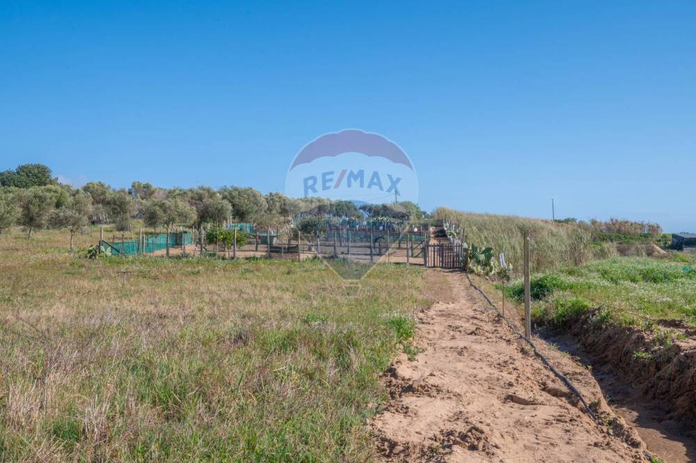 immagine annuncio 13 di 14