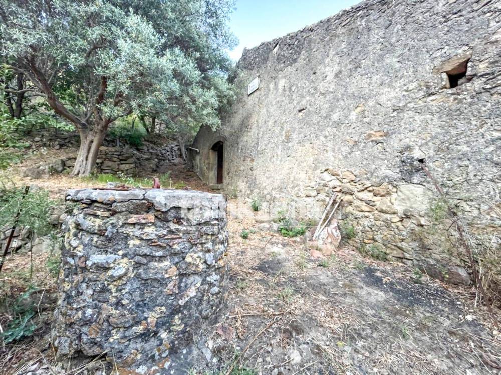 immagine annuncio 10 di 13