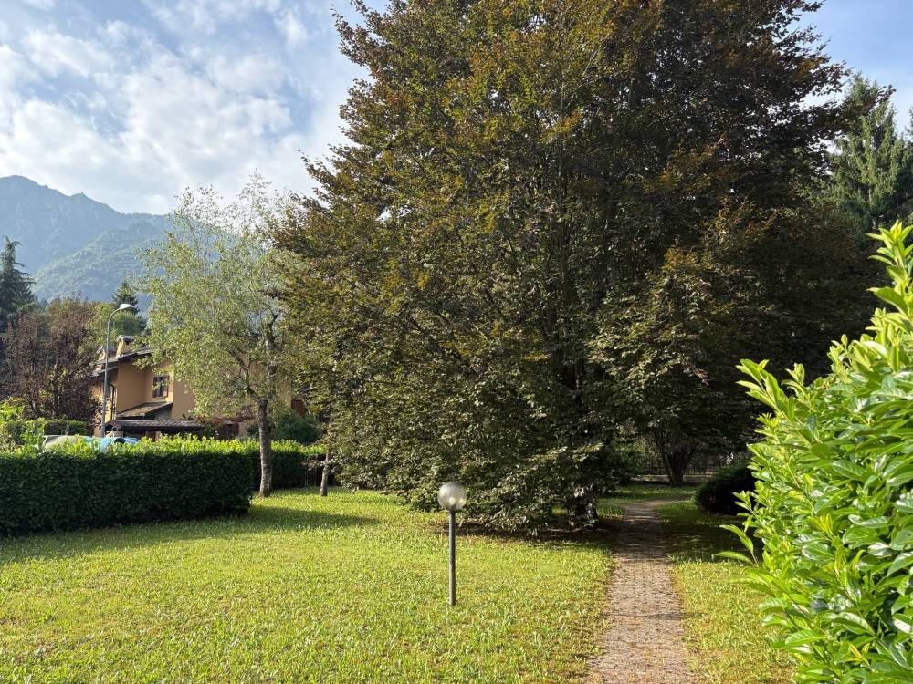 immagine annuncio 2 di 13