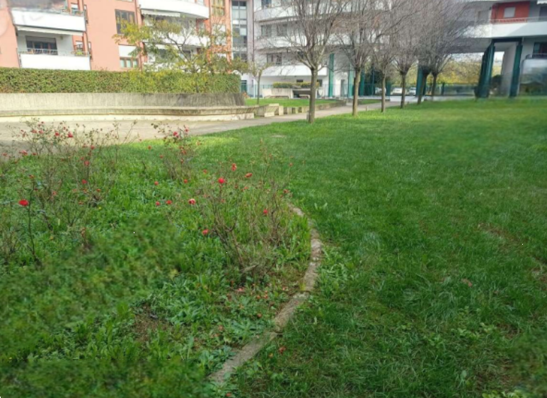 immagine annuncio 6 di 13