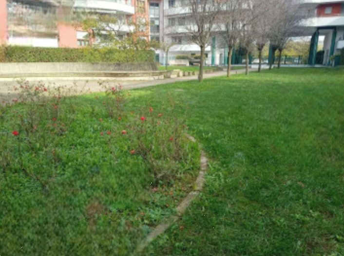 immagine annuncio 6 di 13