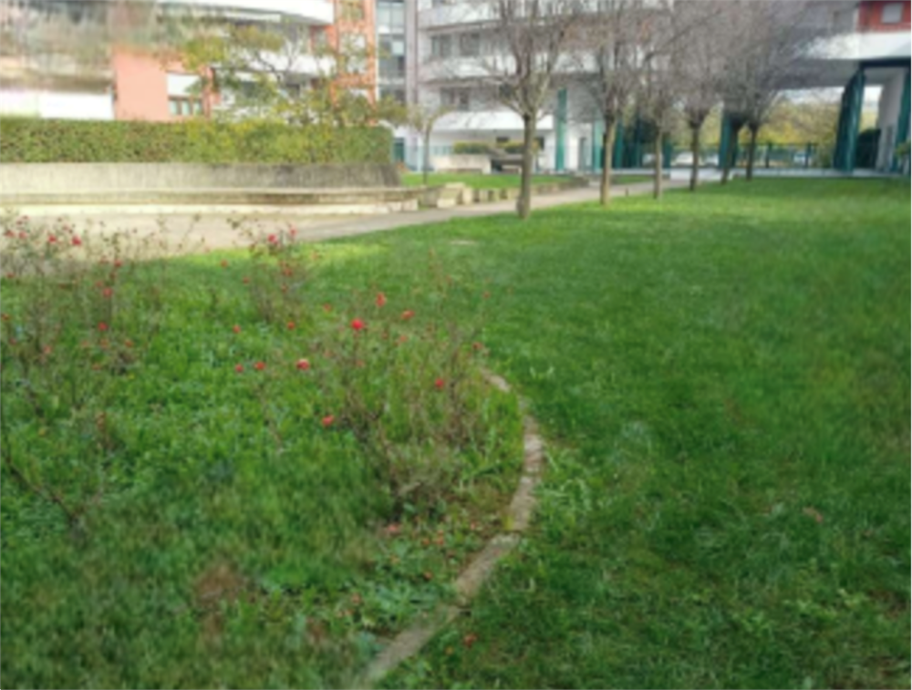 immagine annuncio 5 di 13
