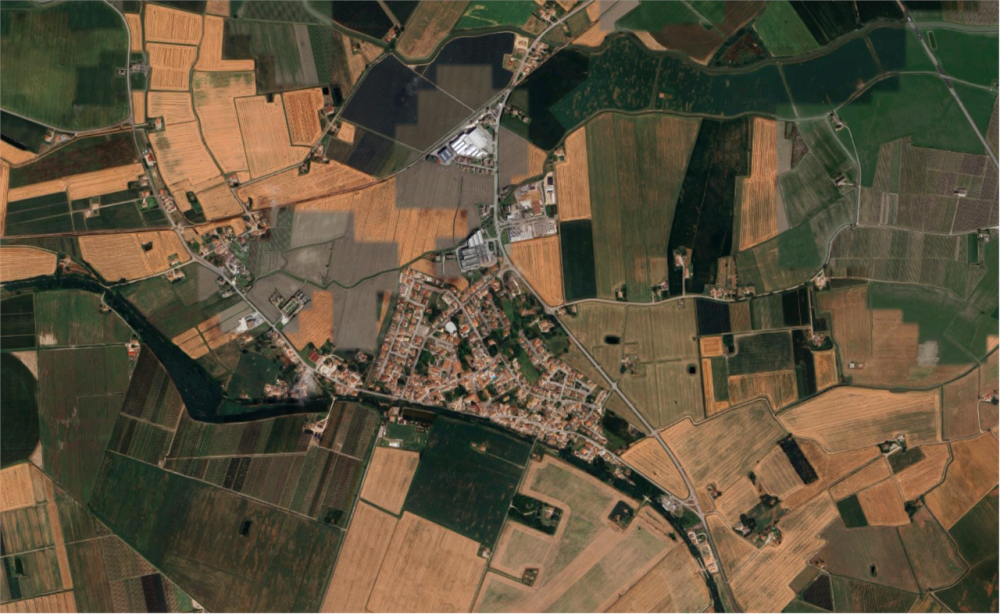 immagine annuncio 1 di 13