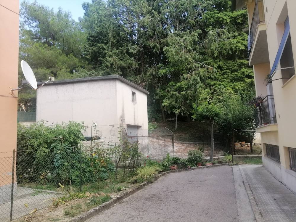 immagine annuncio 7 di 9
