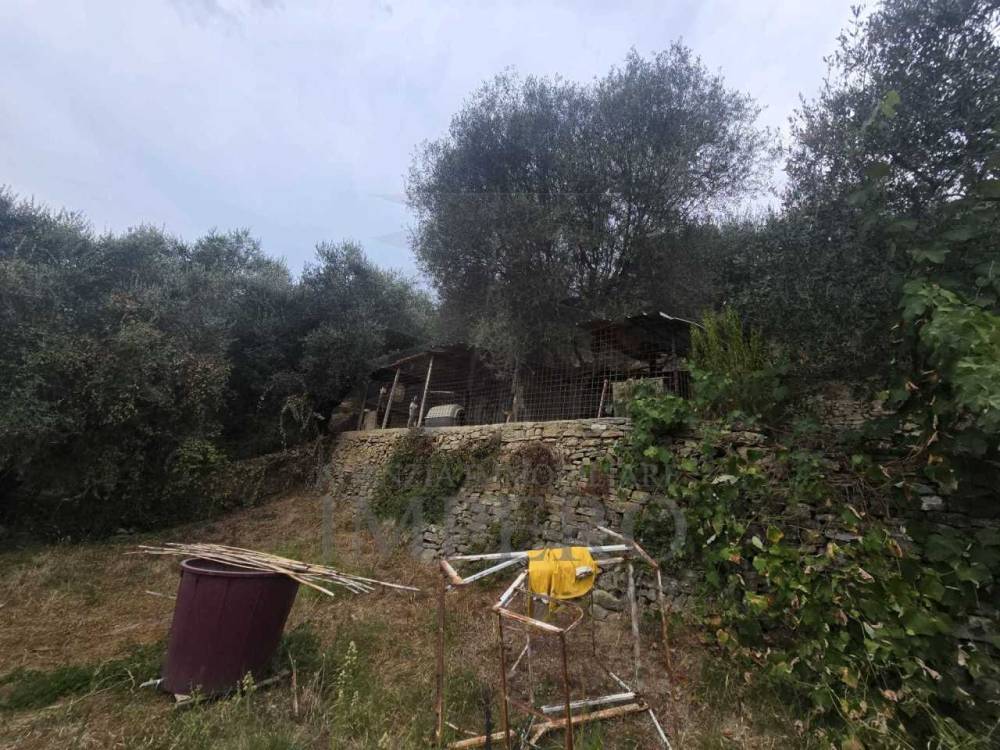 immagine annuncio 1 di 8