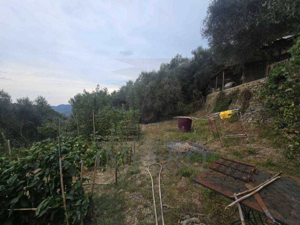 immagine annuncio 3 di 8