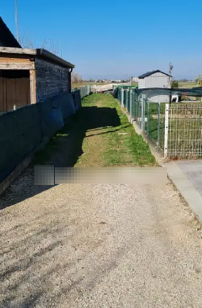 immagine annuncio 6 di 13