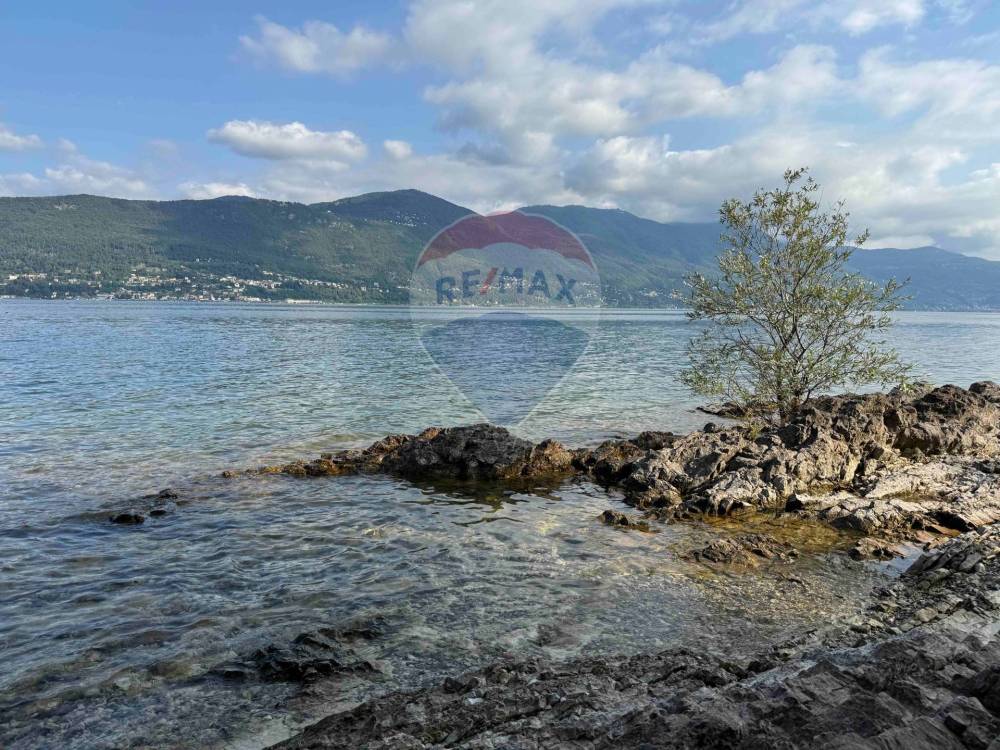 immagine annuncio 4 di 14