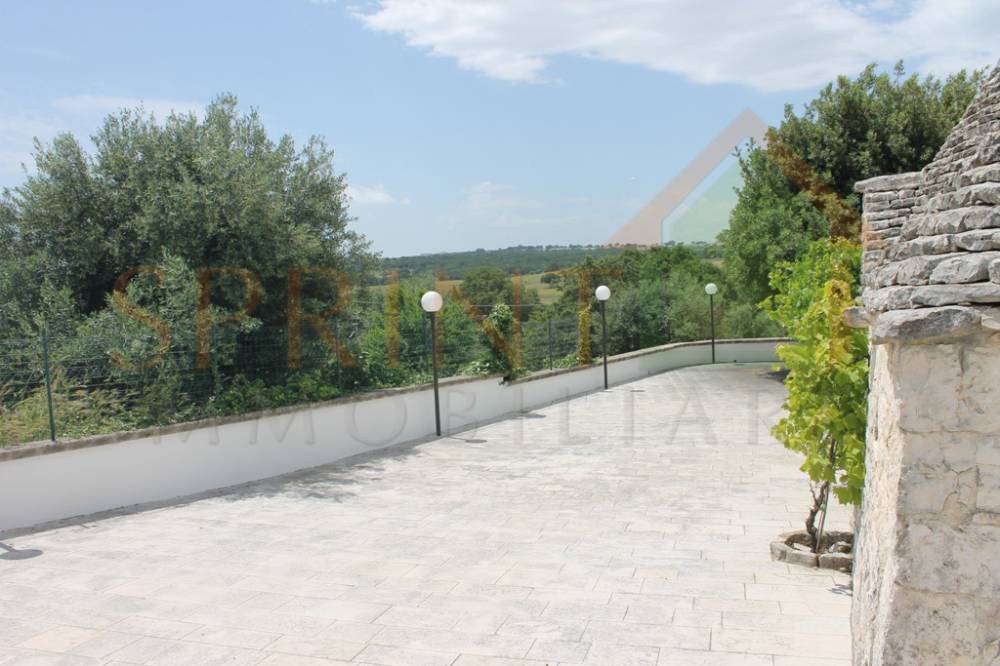 immagine annuncio 6 di 13