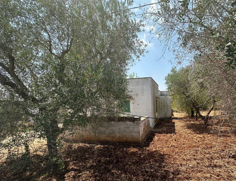 immagine annuncio 3 di 13