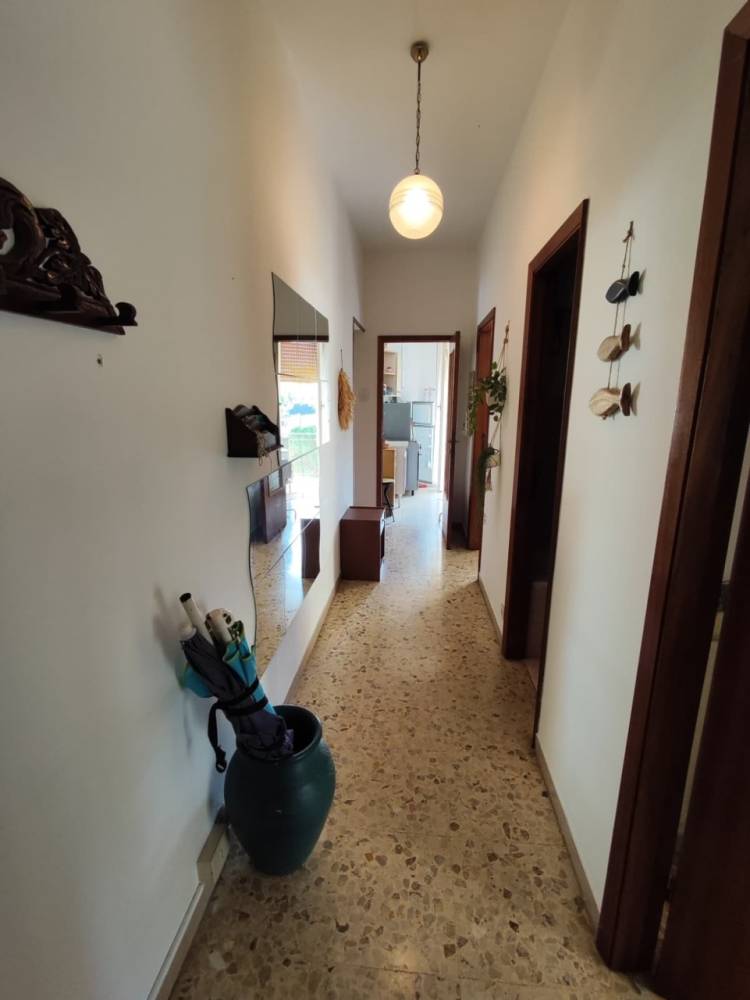 immagine annuncio 9 di 13