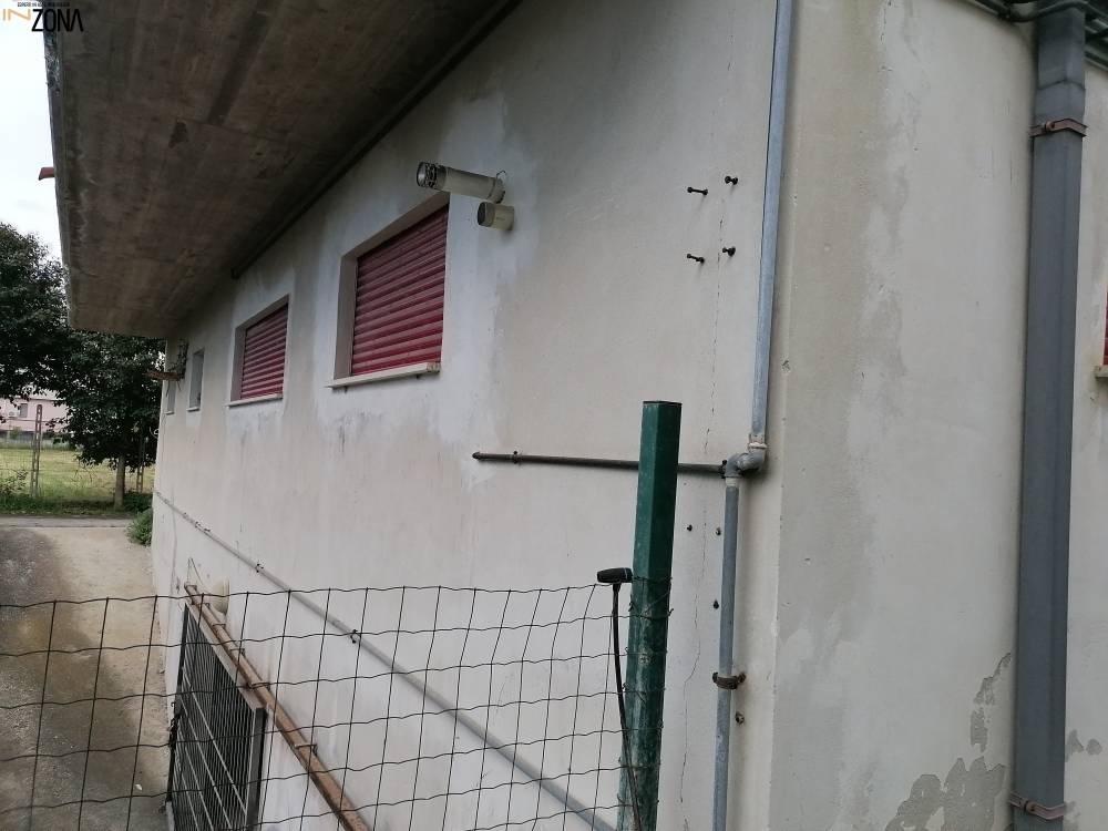 immagine annuncio 4 di 9
