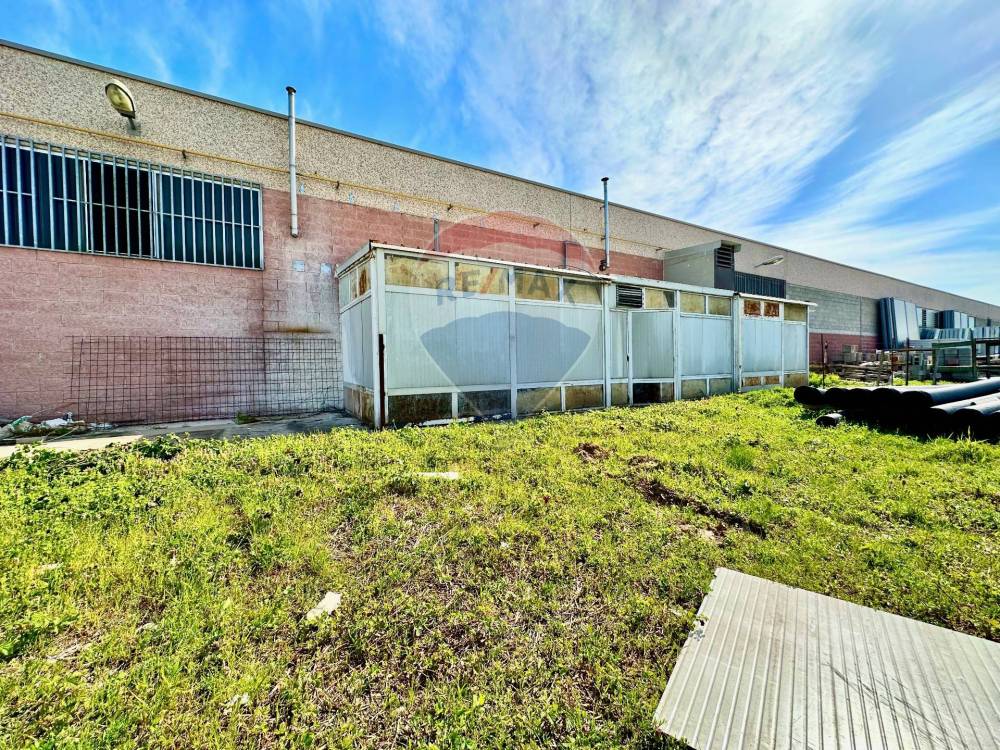 immagine annuncio 13 di 14