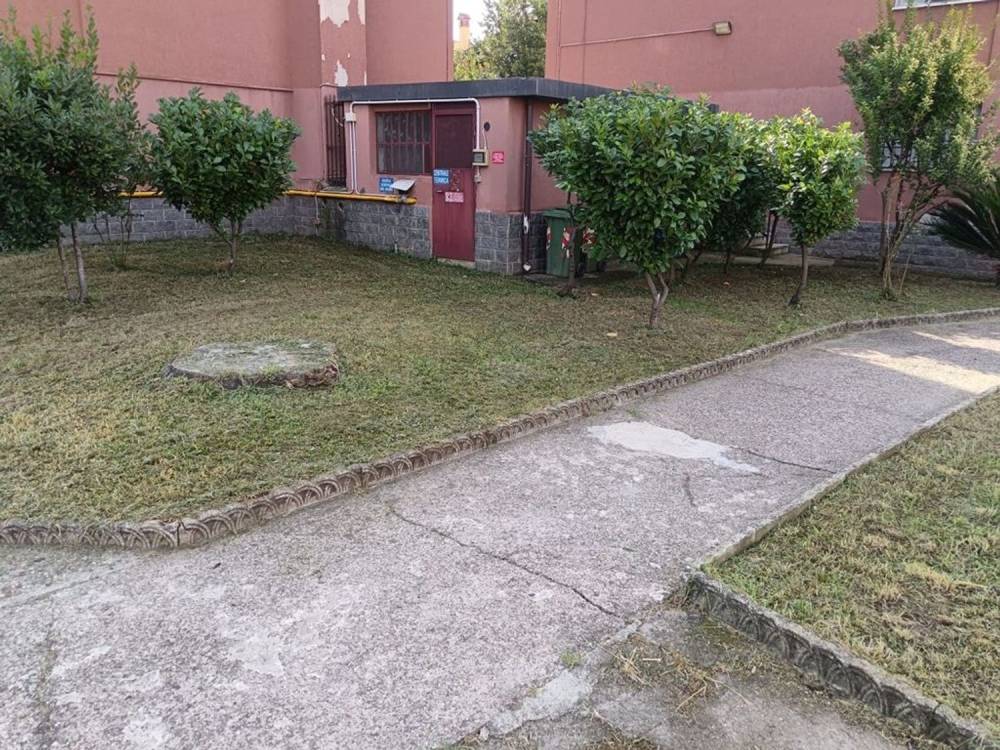immagine annuncio 3 di 13